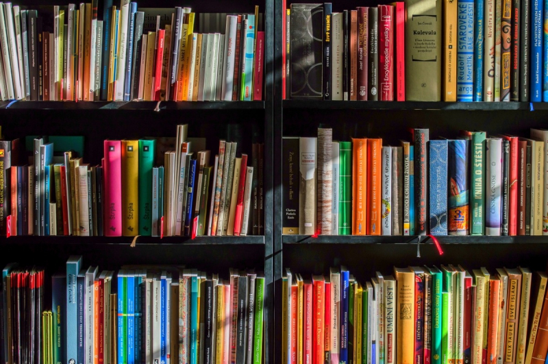 ecommerce-BEAULIEU SUR MER-min_books_bookstore_book_reading_shop_writer_sale_books_read-822866